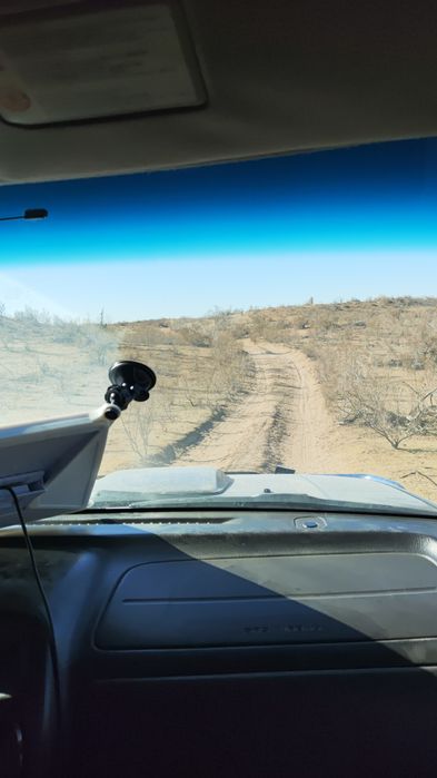 Спутниковый интернет Илона Маска Starlink