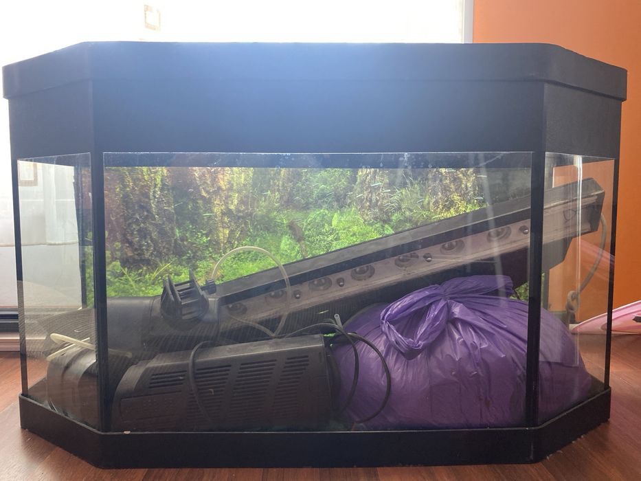Acvariu hexagonal 80 l