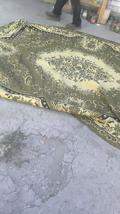 Продам разные паласы по 5 тысяч.