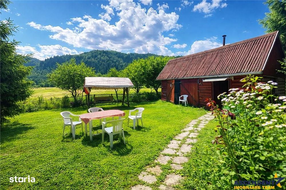 FILM &Tur LIVE! Casa de vacanta, intr- o ariere admirabila,Lunca Bradu