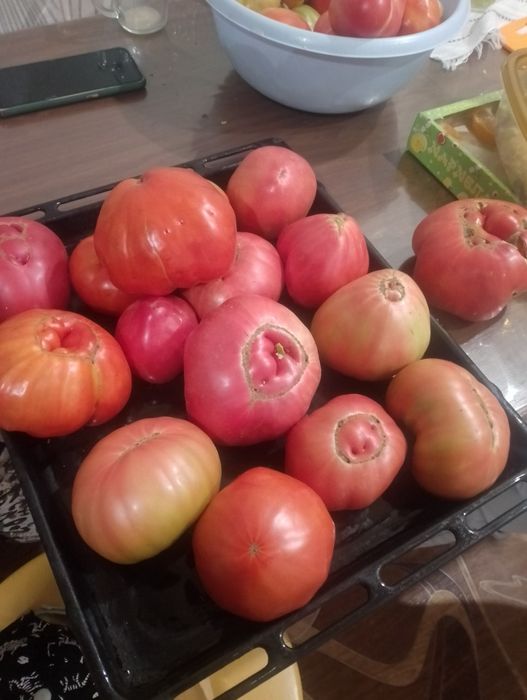 Продам домашние помидоры крупные