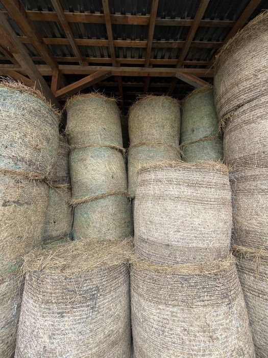 Vand lucerna ,calitate foarte buna