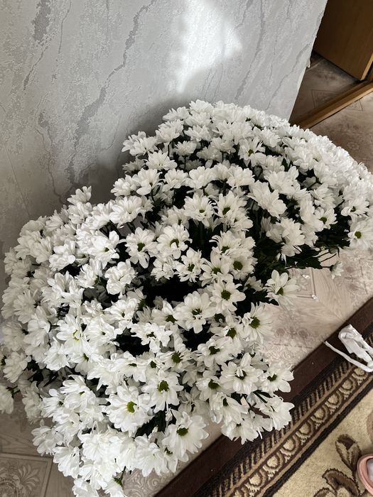 Продам цветы актобе