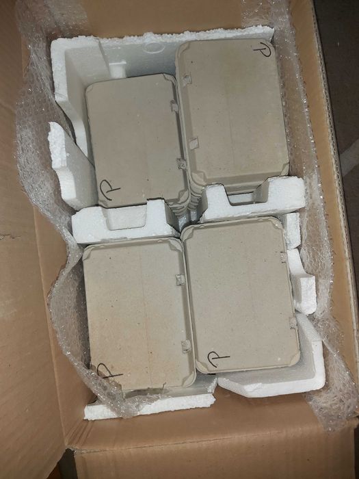 Oua de prepeliță pentru incubat rasa Polara Gigant