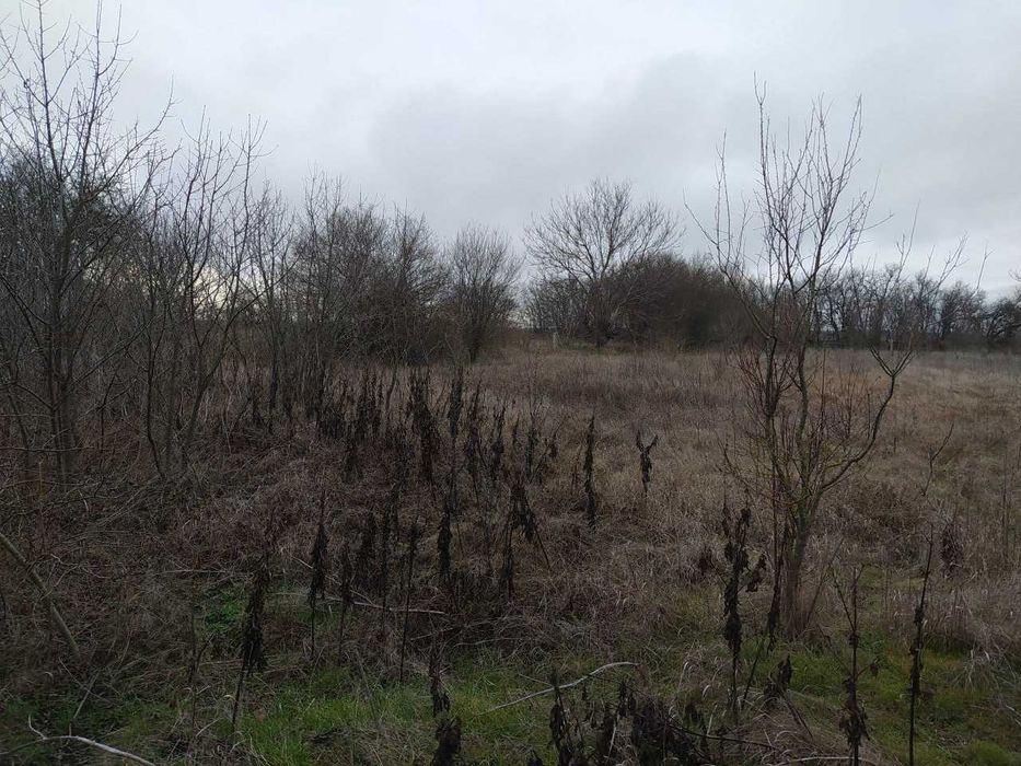 Продава се Къща в Вълчи дол - 45 кв.м за 800 €/кв.м - Снимка #8