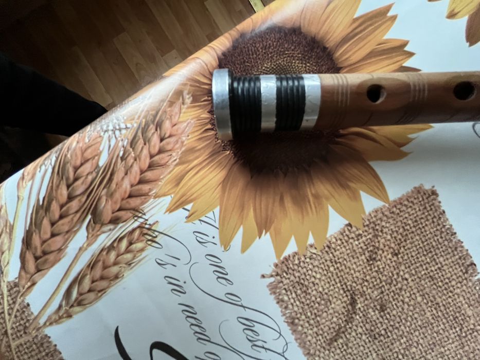 Джура гайда сол гайдуница