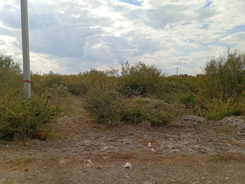 Жер сатылады келісім бойынша