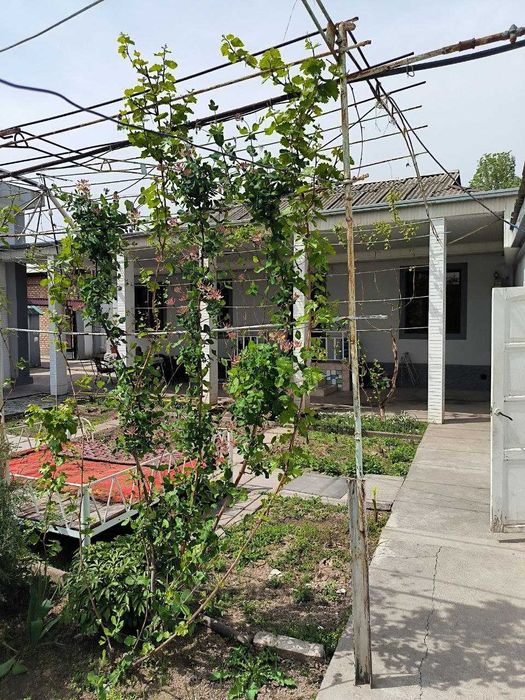 Sotiladi 13 sotix hovli Chingeldi Продается участок 13 сот на Чингелди