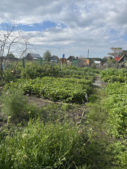 Продам дачу в Новопавловке.