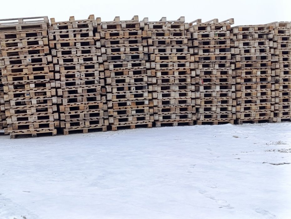 Продам поддоны 80*120см много