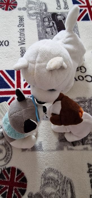 Lot cățeluși drăguți