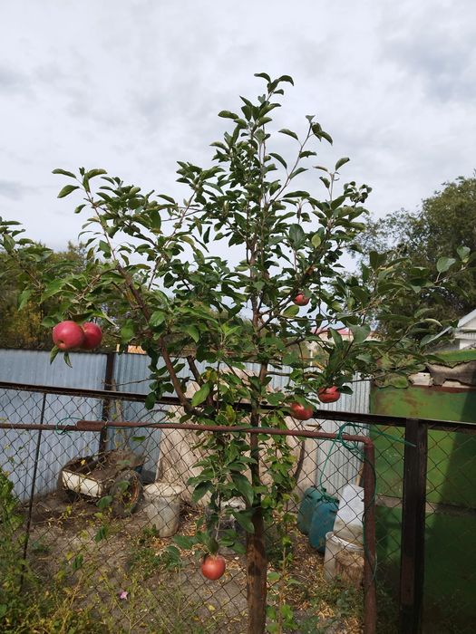 Продам дом район 11 мкр