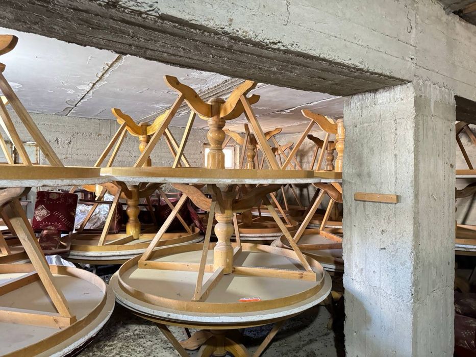 Оптом Столар сотилади енгок чинор