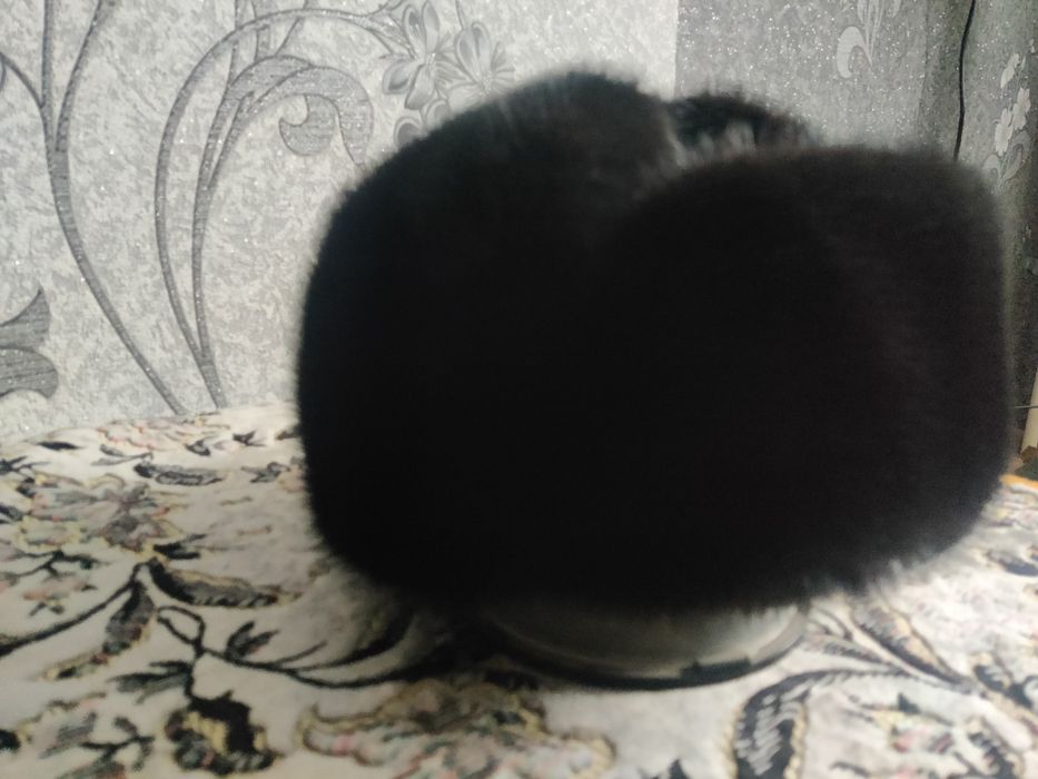 Норкавая шапка черный барон