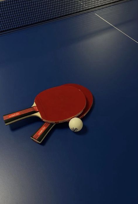 Теннисный стол /ping pong