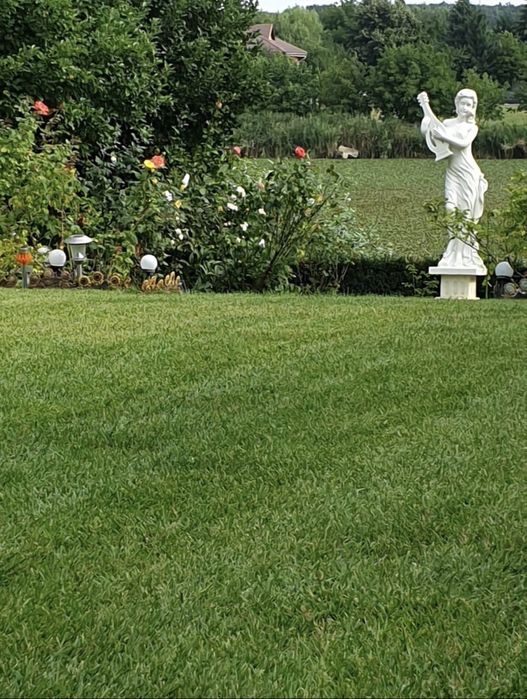 Amenajare si intretinere gradini AMO GARDEN