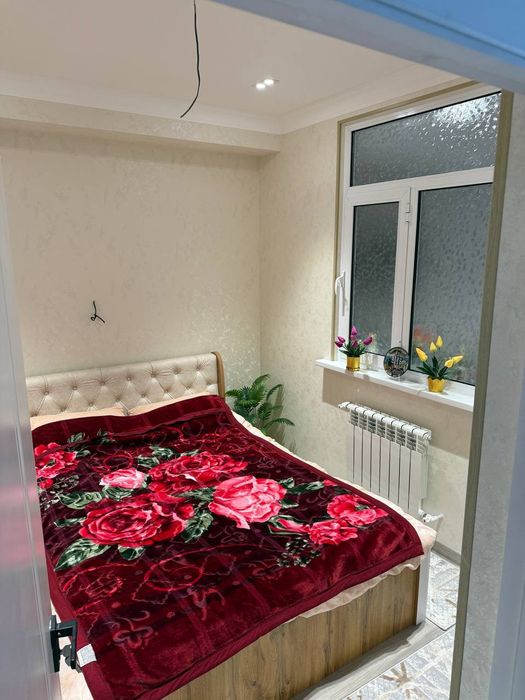 Kunlik ijaraga qo'yiladi