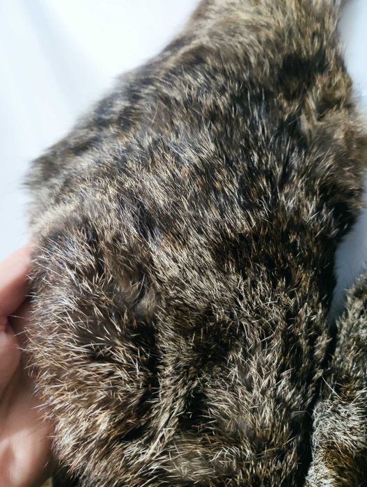 Haină blană naturală - râs