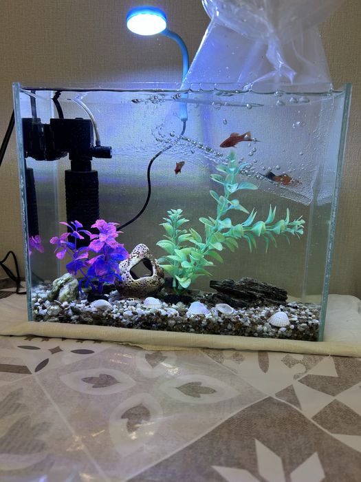 продам аквариум