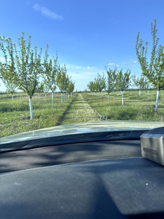 Vand Livada pomi fructiferi (urgent)