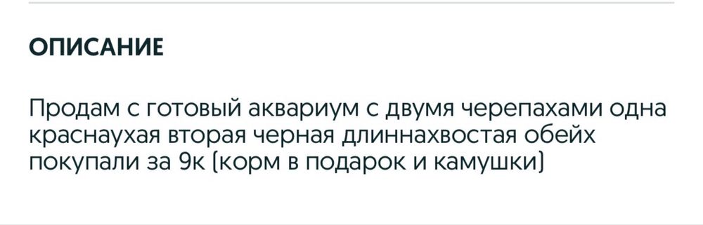 Аквариум с двумя черепашками