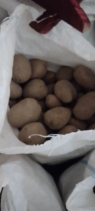 Cartofi rosii si albi