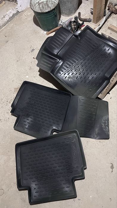 Полики на Туксон 2023