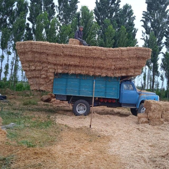 Gaz 53 sotiladi holat yash ishlab turgan mashina