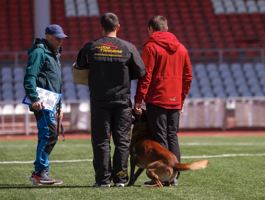 Дрессировка собак, кинолог