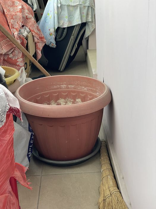 Цветочный горшок Срочно