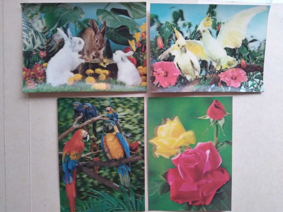 Стари стерео картички, стари фотографии - млади жени и курсанти