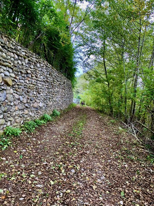 Vant teren zona Valea Mare 15€ mp
