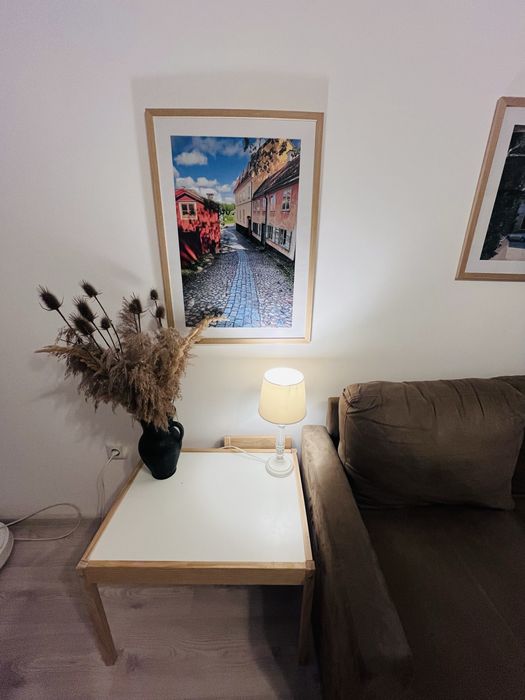 Tablou 50x70 - imagine din Stockholm (Skansen)