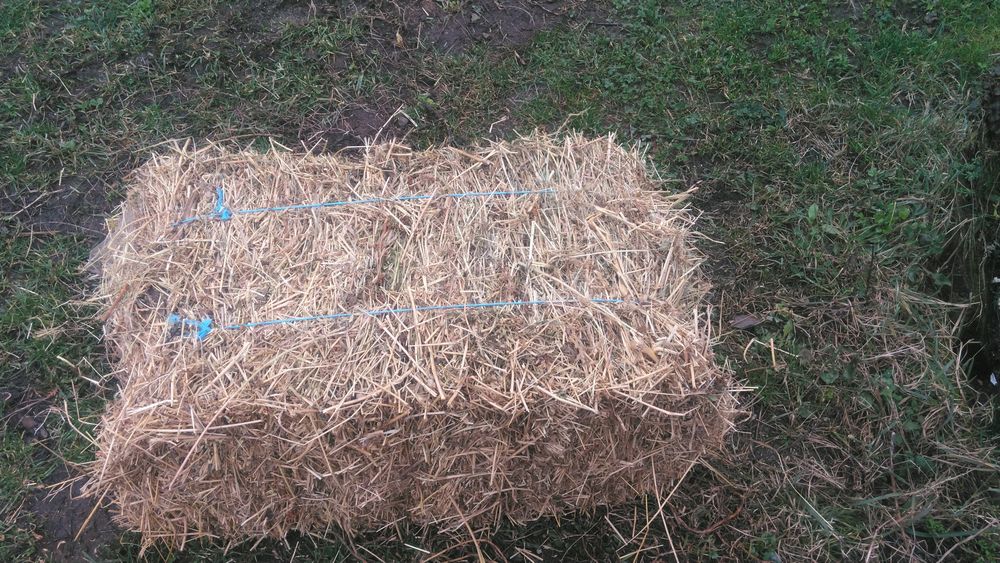 Vând baloți de lucernă