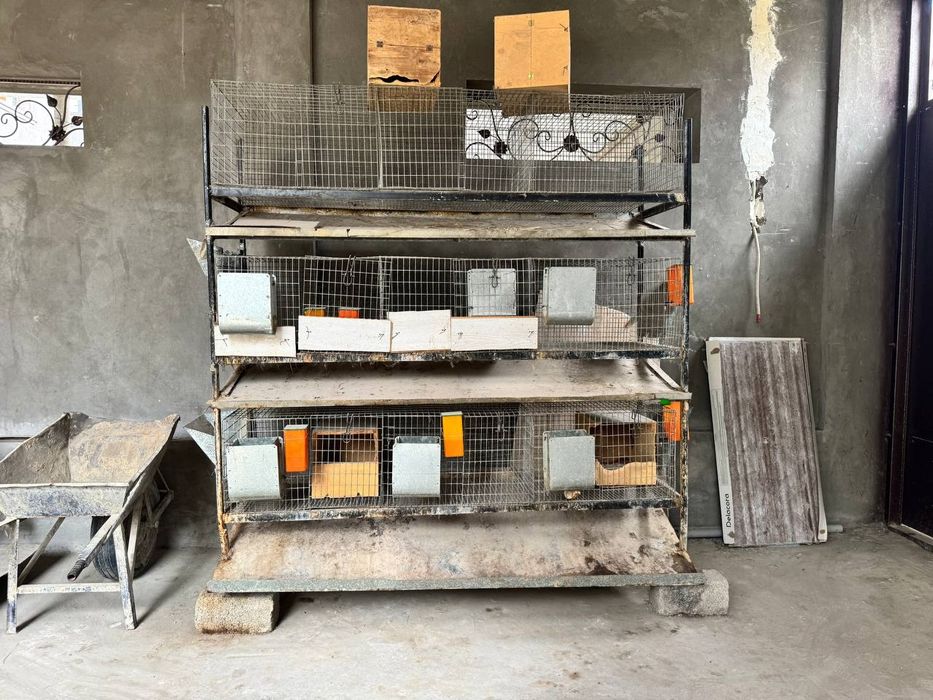 Quyonlar uchun qafas sotiladi 9 ta honasi bor Narsalar koʻp qoʻshamiz.