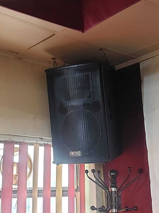 Boxe profesionale + mixer + statii