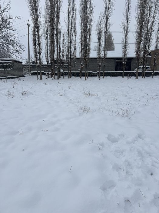 Арзон Йер сотилади Фуд сити