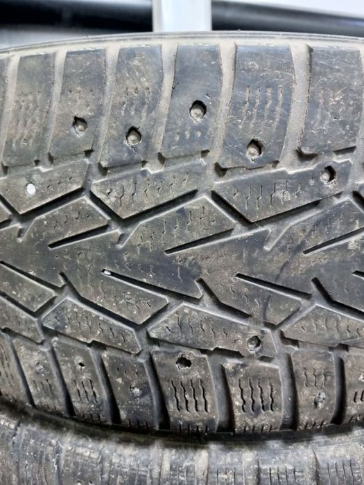 Авторезина нордман