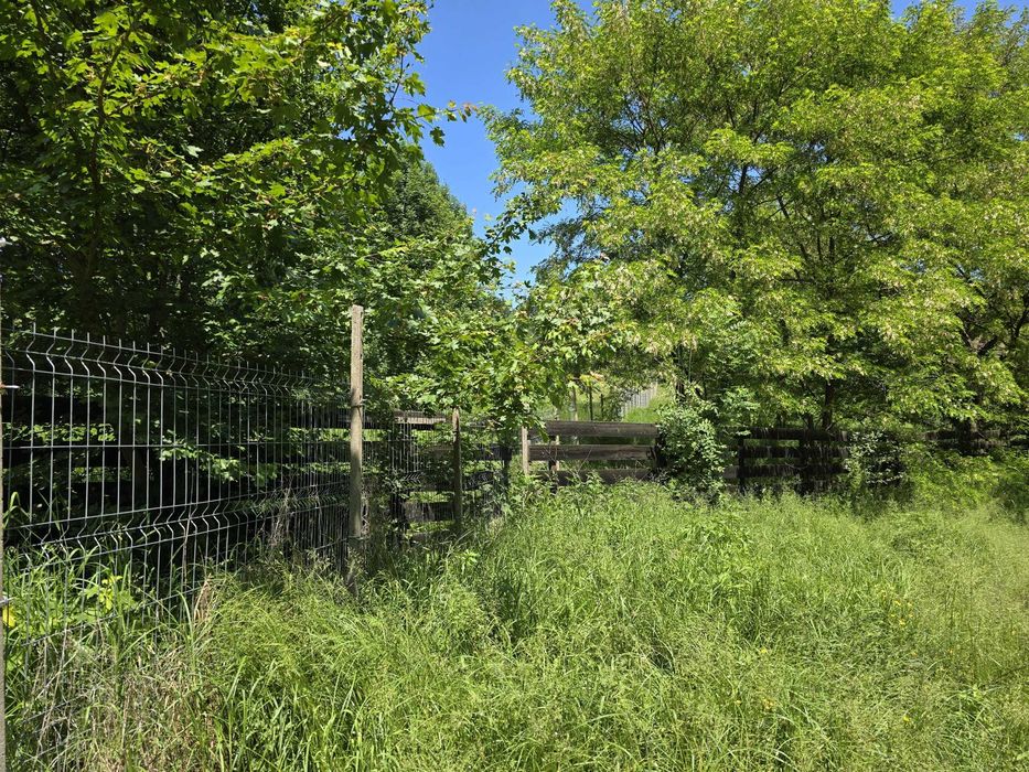 vand teren in locul numit Poiana Soarelui -Ilisesti judetul Suceava