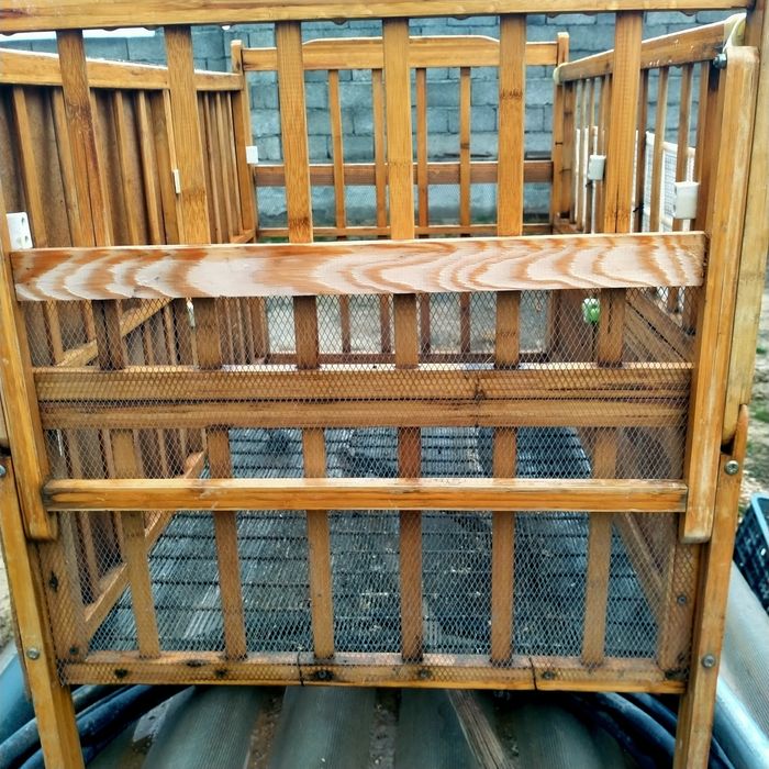 Брудер сатылады балапан асырауга