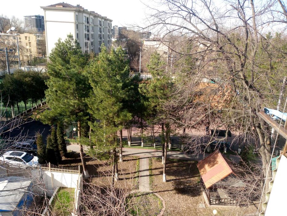 «Недорого своя» 2/5/5 переделана в 3 М.Горький Буюк Ипак Йули Художник