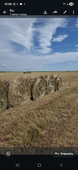 Продам  свежее сено в ру