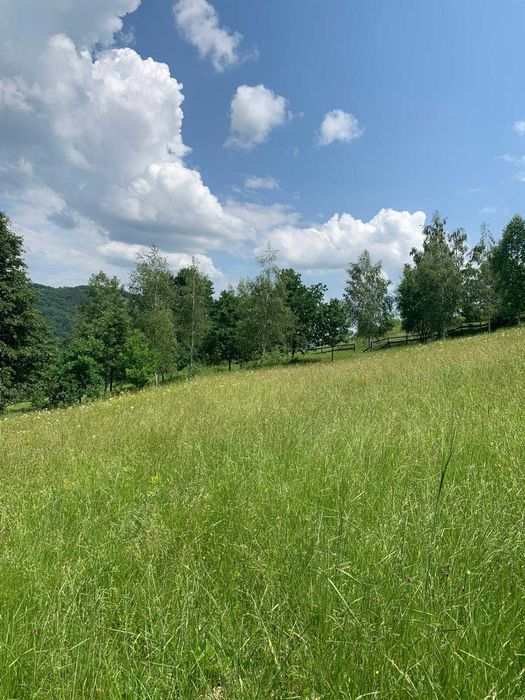 Teren vanzare INTRAVILAN, 7800 mp, Poiana Ampoiului, ZONA TURISTICA