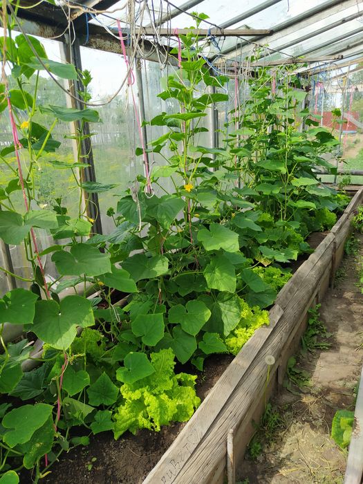 Продам частный дом