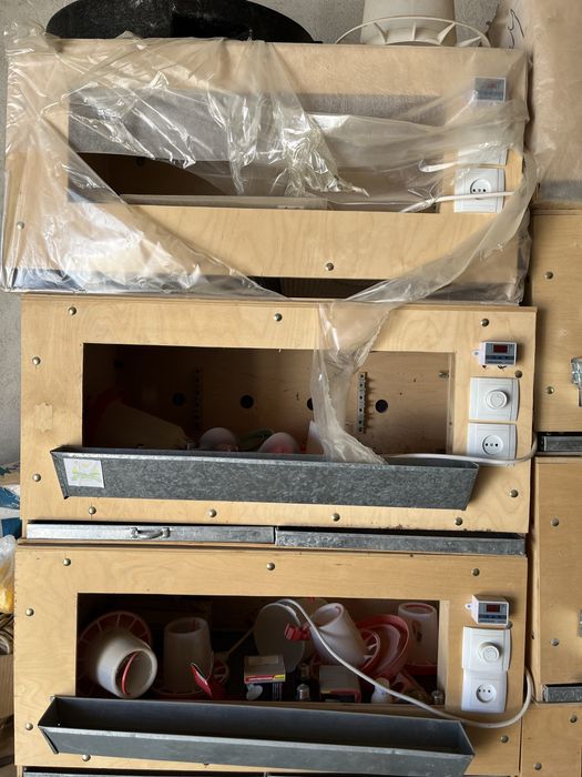 Жаңа туылған балапан бағатын домик