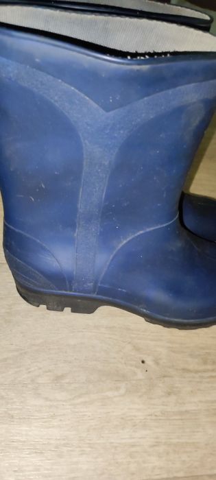Резиновые сапоги