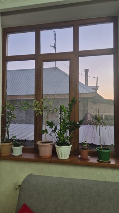 Окна пластиковые