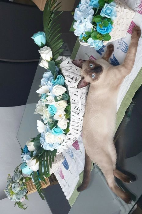 Aranjament flori sapun