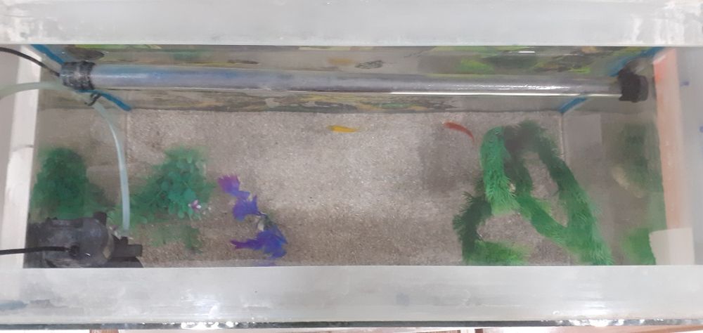 Продам аквариюм целый