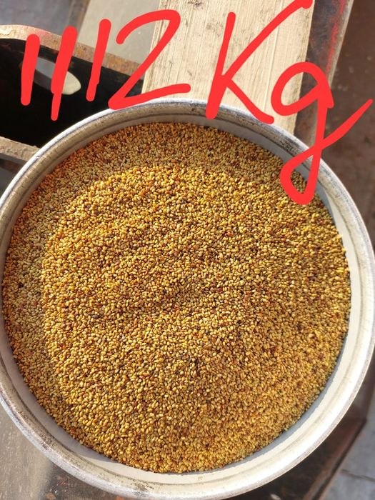 Vand samanta sparceta / samanta de lucerna